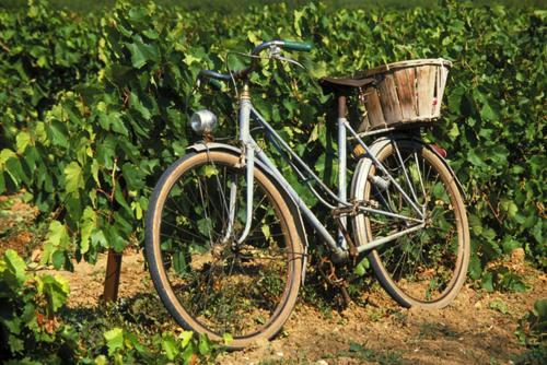 La Maison Grenadine Pres Du Canal Du Midi Tourouzelle Luaran gambar